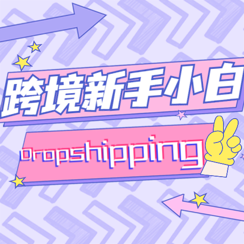 速卖通Dropshipping全攻略：独立站新手小白如何零基础开启无货源电商之旅丨跨境知识库