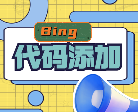 Shopyy建站方式添加BING代码的方式丨跨境知识库