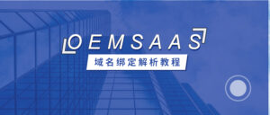 OEMSAAS系统-域名绑定丨跨境知识库