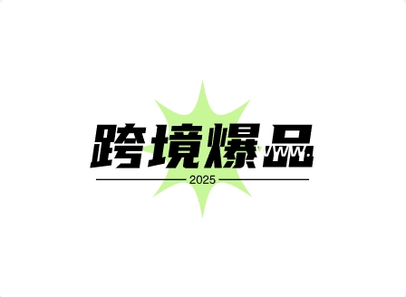 2025独立站爆品分享：7款闭眼入的摇钱树+3大流量印钞机！-跨境知识库